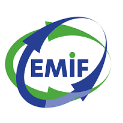 EMIF Logo